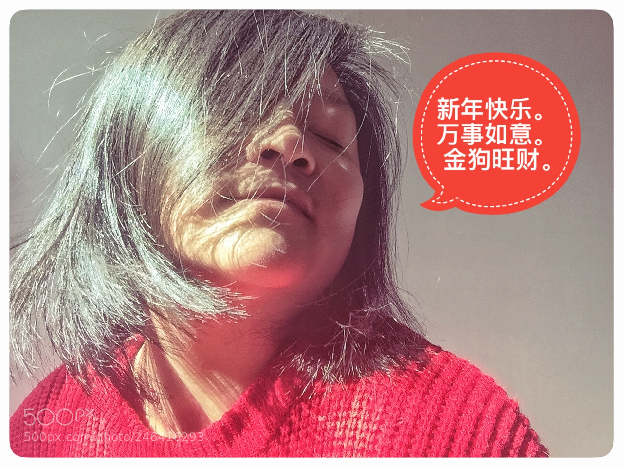 Apple iPhone 6 Plus sample photo. 新年好 photography