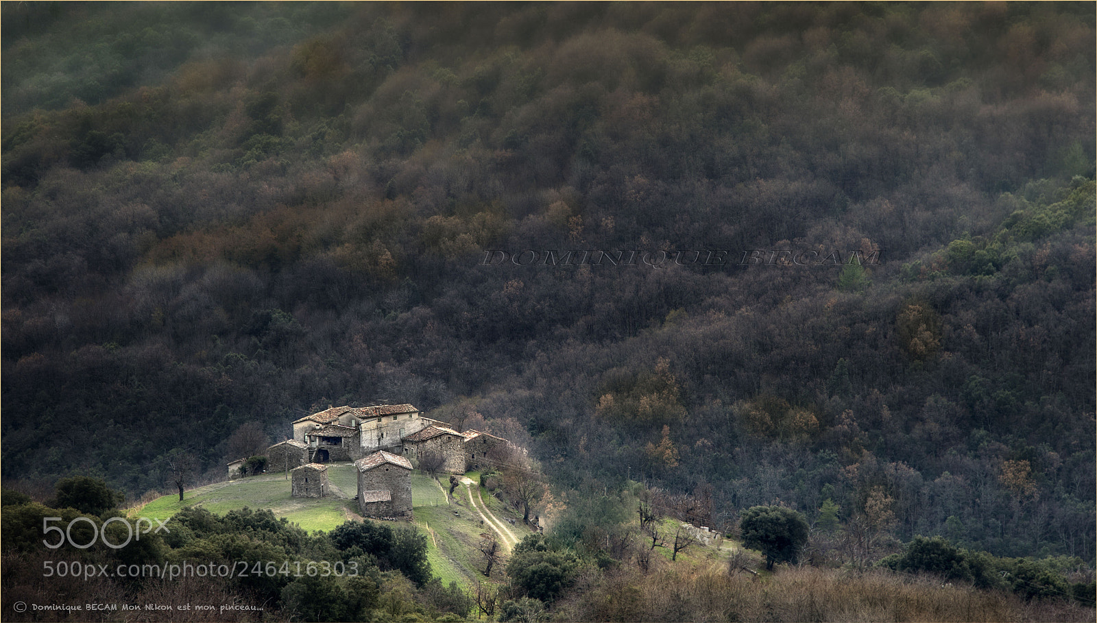 Nikon D4 sample photo. Cévennes france photography