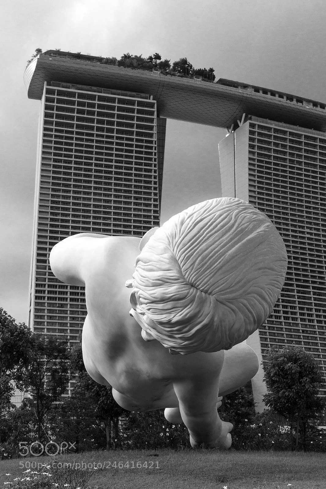 Nikon D3100 sample photo. The falling baby photography