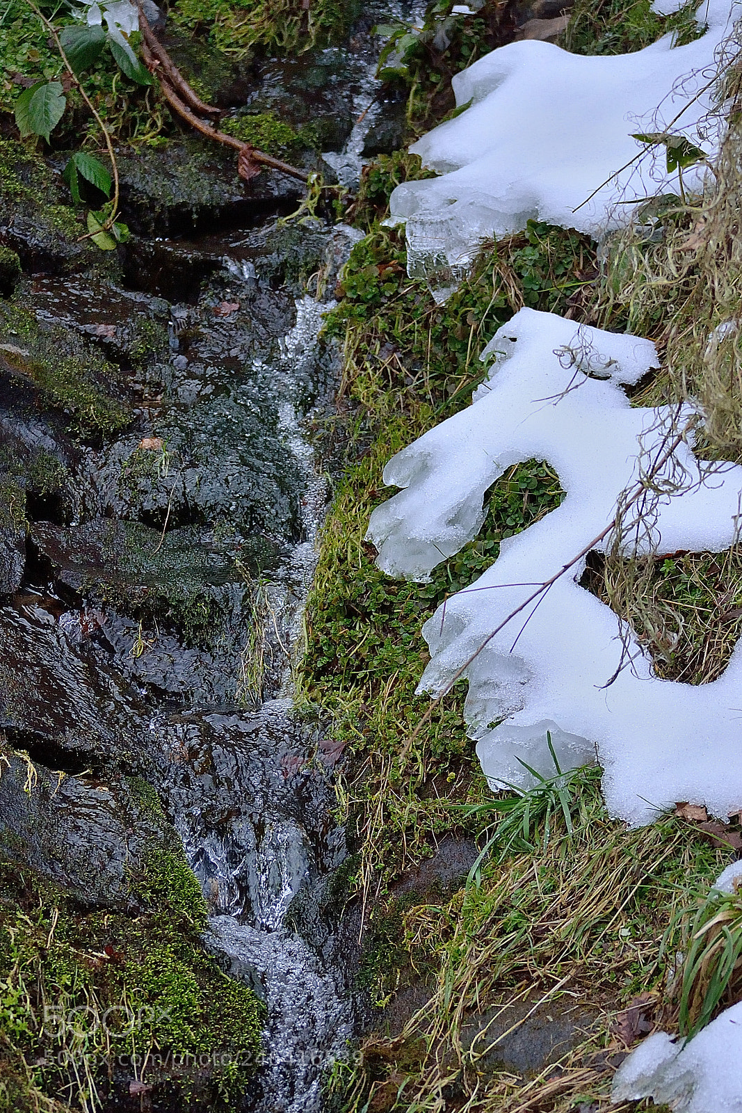 Nikon D3100 sample photo. Melting photography