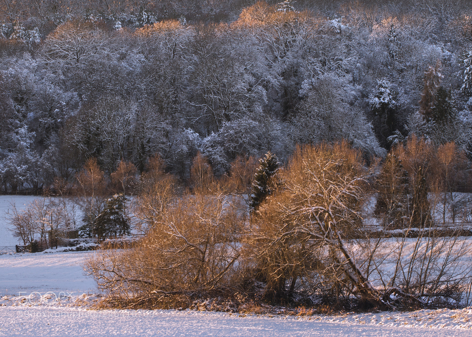 Canon EOS 700D (EOS Rebel T5i / EOS Kiss X7i) sample photo. Winter sunset photography