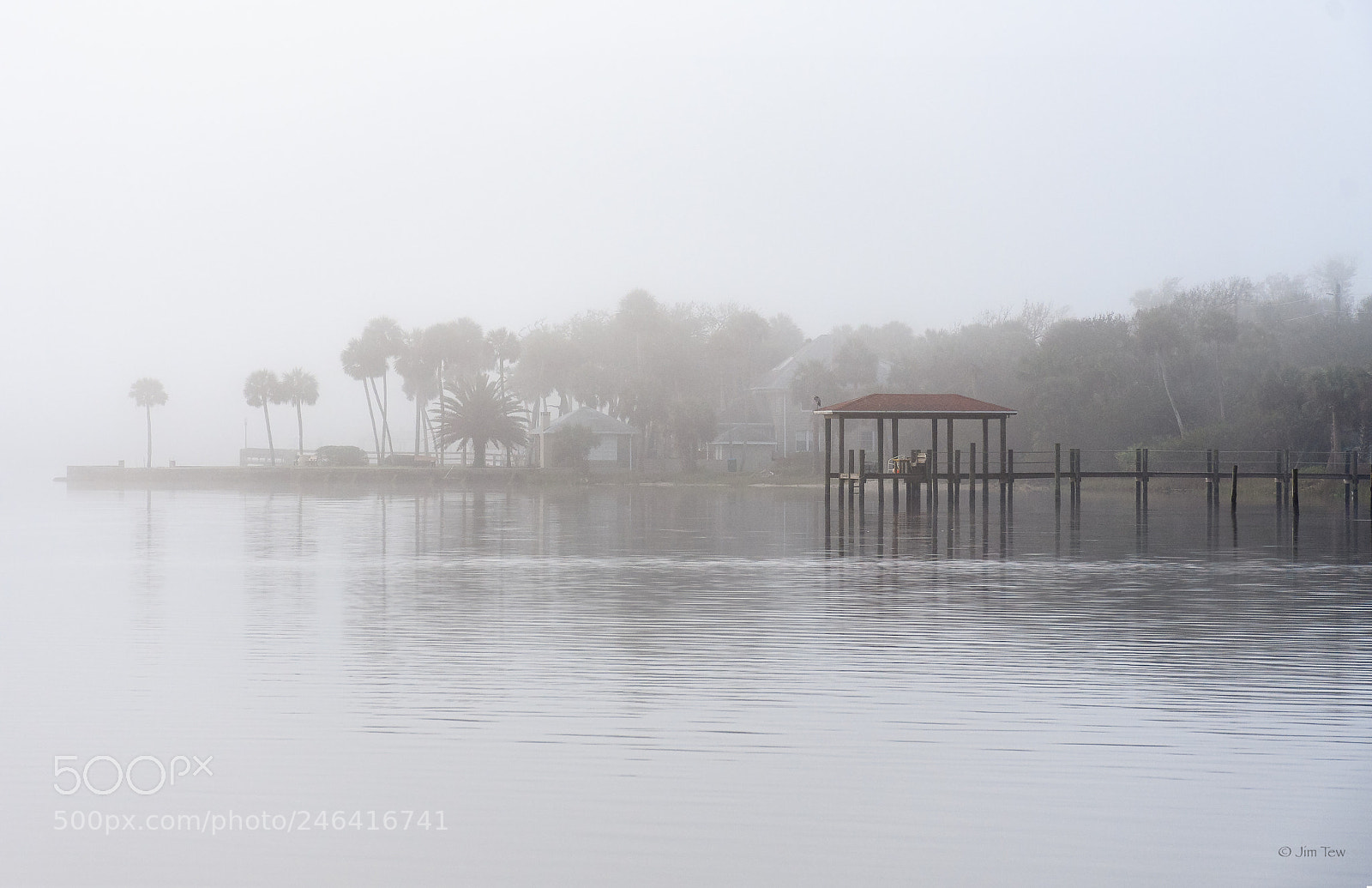 Nikon D7500 sample photo. Morning fog photography
