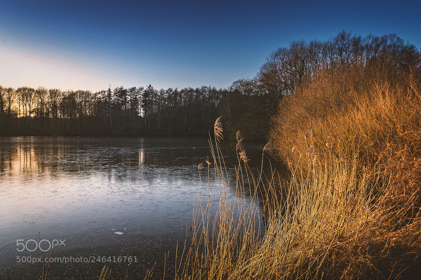 Sony ILCA-77M2 sample photo. Lake at gl cksburg photography
