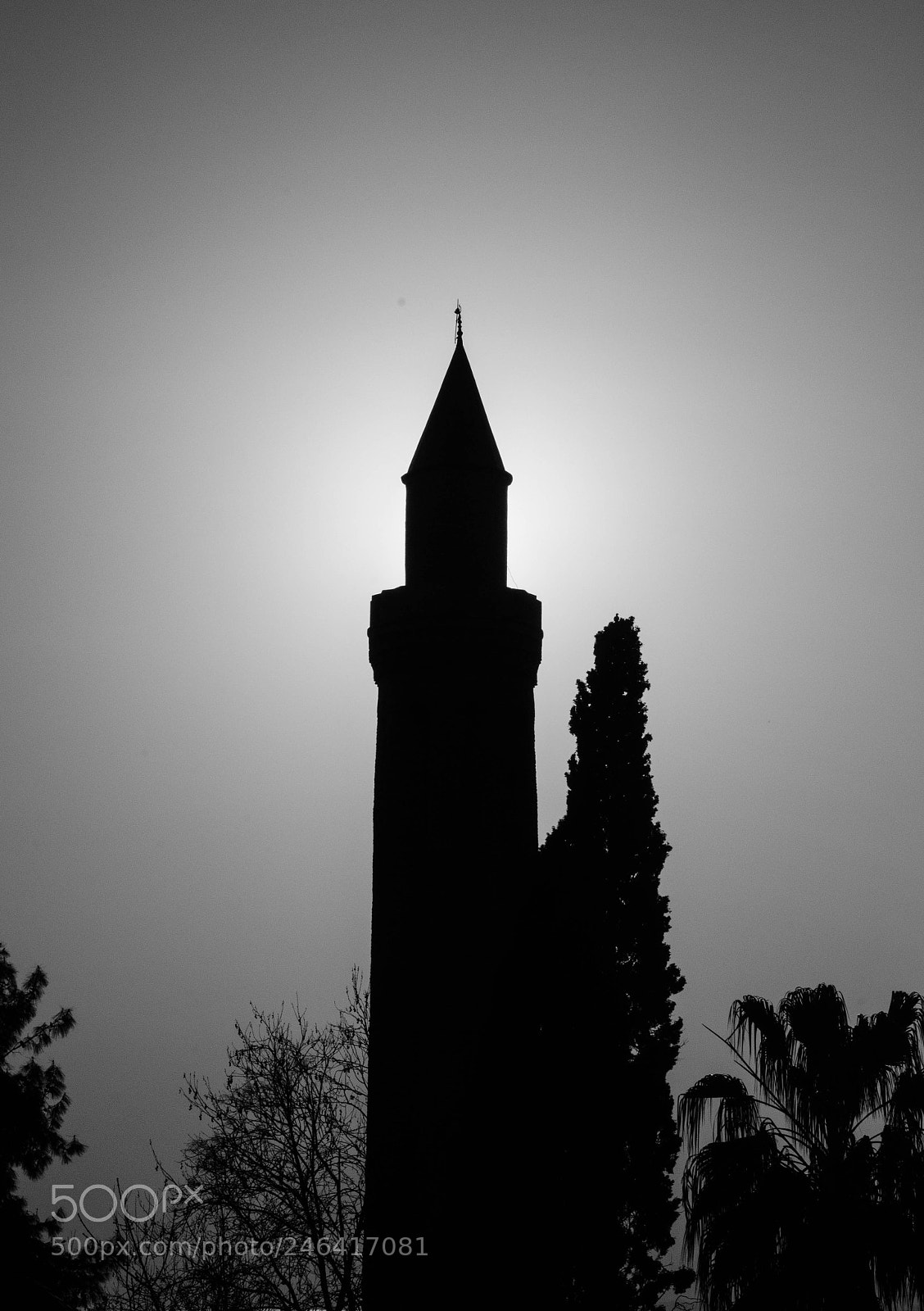 Nikon D5100 sample photo. Untitled photography