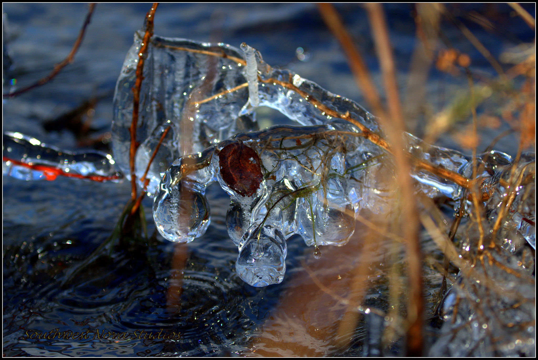 Canon EF 70-200mm F4L IS USM sample photo. Cr photography