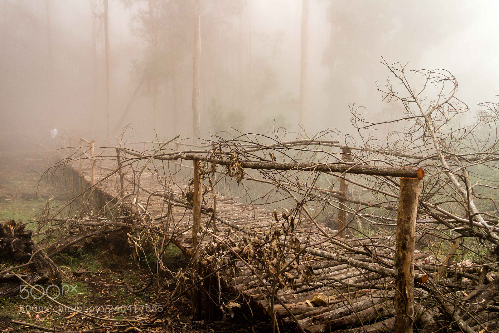 Canon EOS M sample photo. The blocked wooden bridge photography