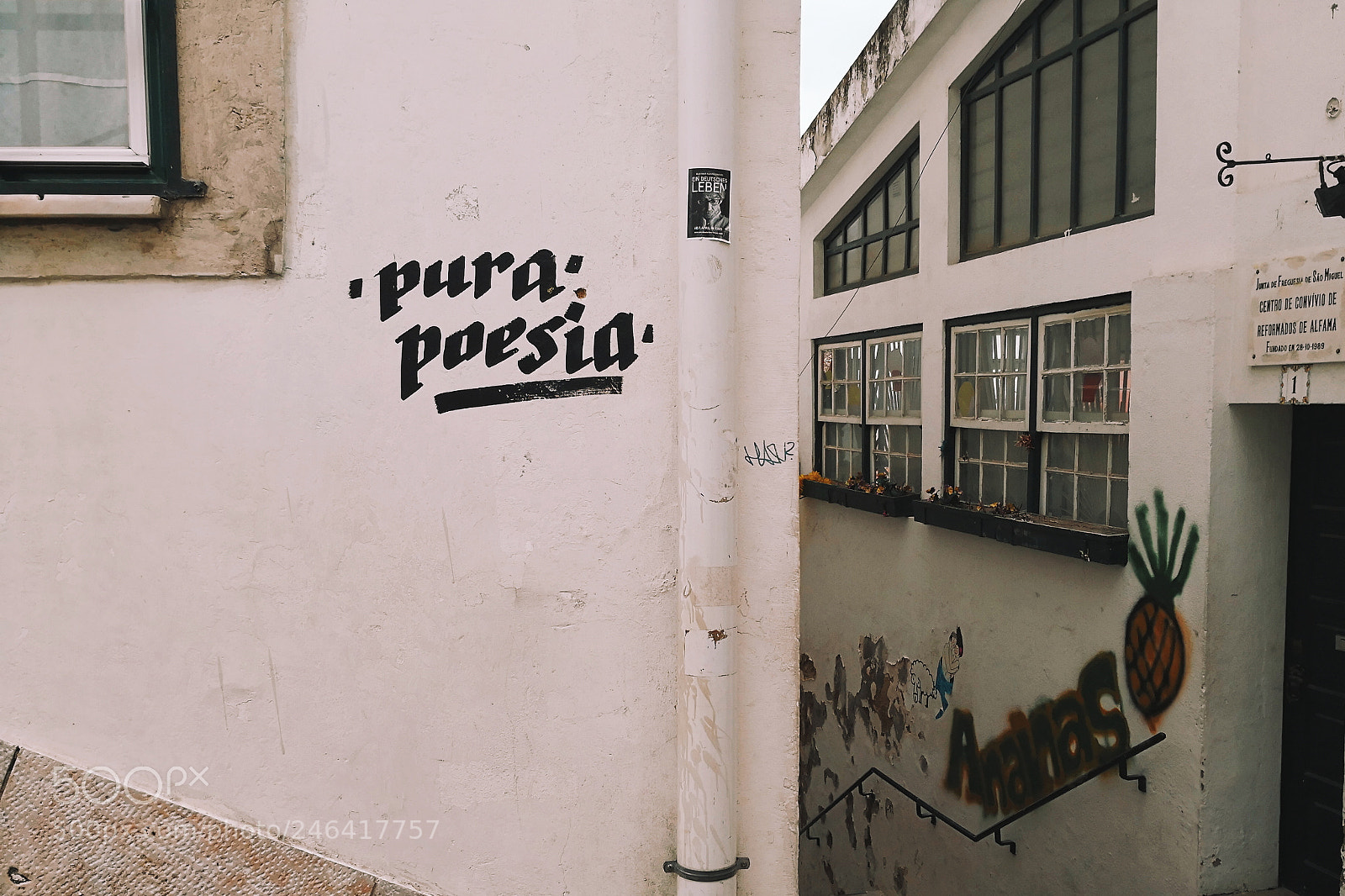 HUAWEI Mate 10 Pro sample photo. Pura poesia photography