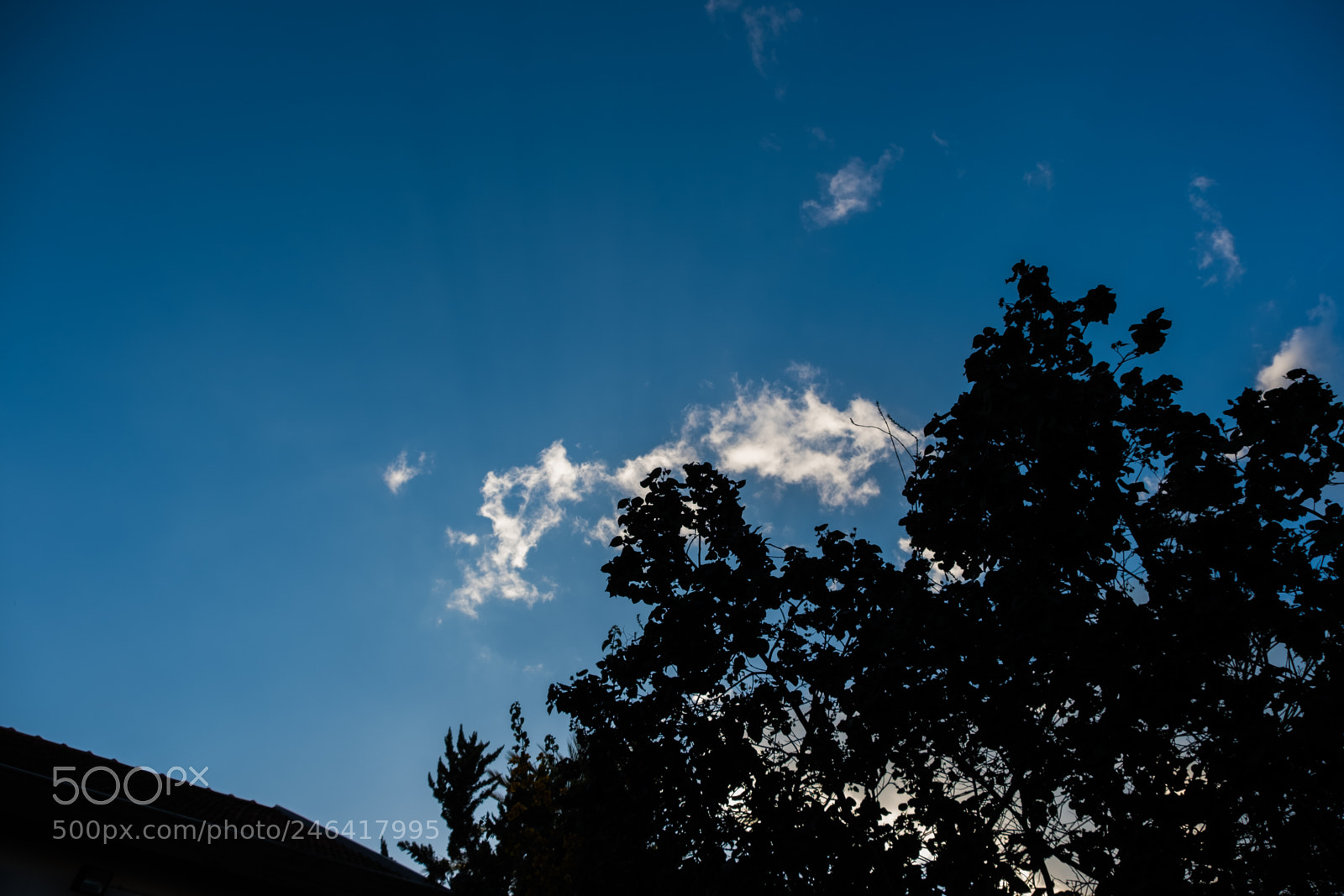 Fujifilm X-T2 sample photo. Sky. photography