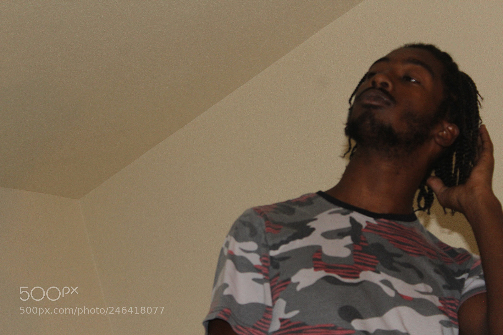 Canon EOS 1200D (EOS Rebel T5 / EOS Kiss X70 / EOS Hi) sample photo. Rondothakiid photography