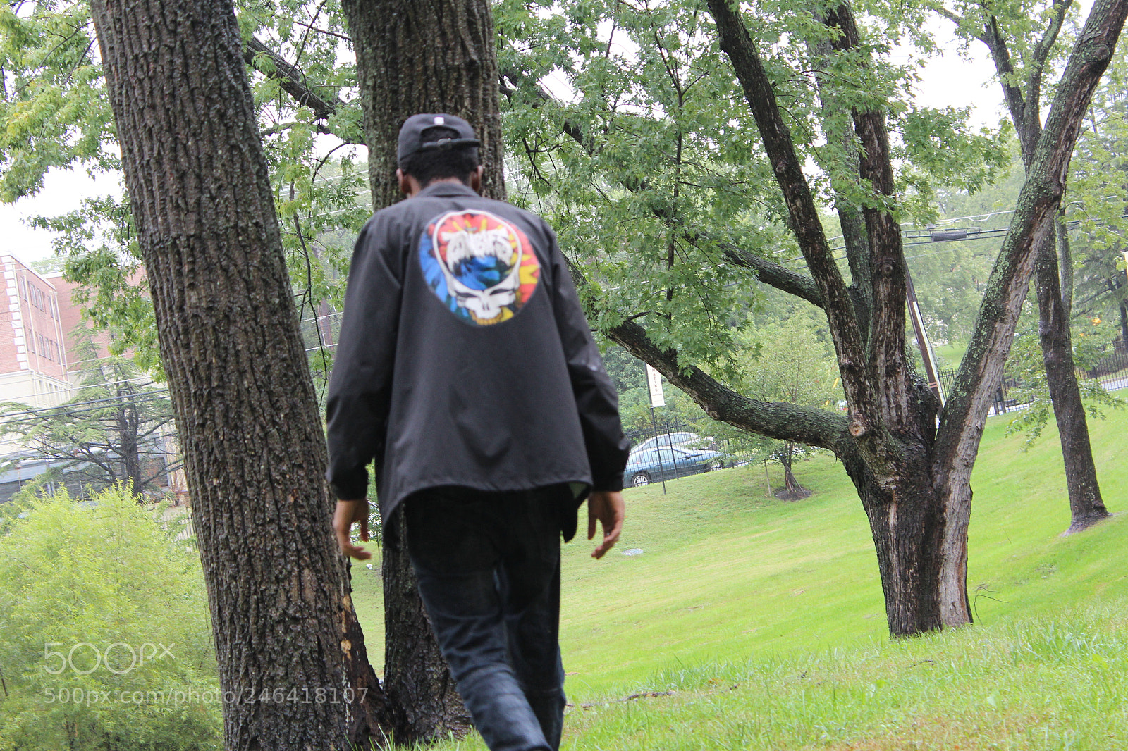 Canon EOS 1200D (EOS Rebel T5 / EOS Kiss X70 / EOS Hi) sample photo. Rondothakiid photography