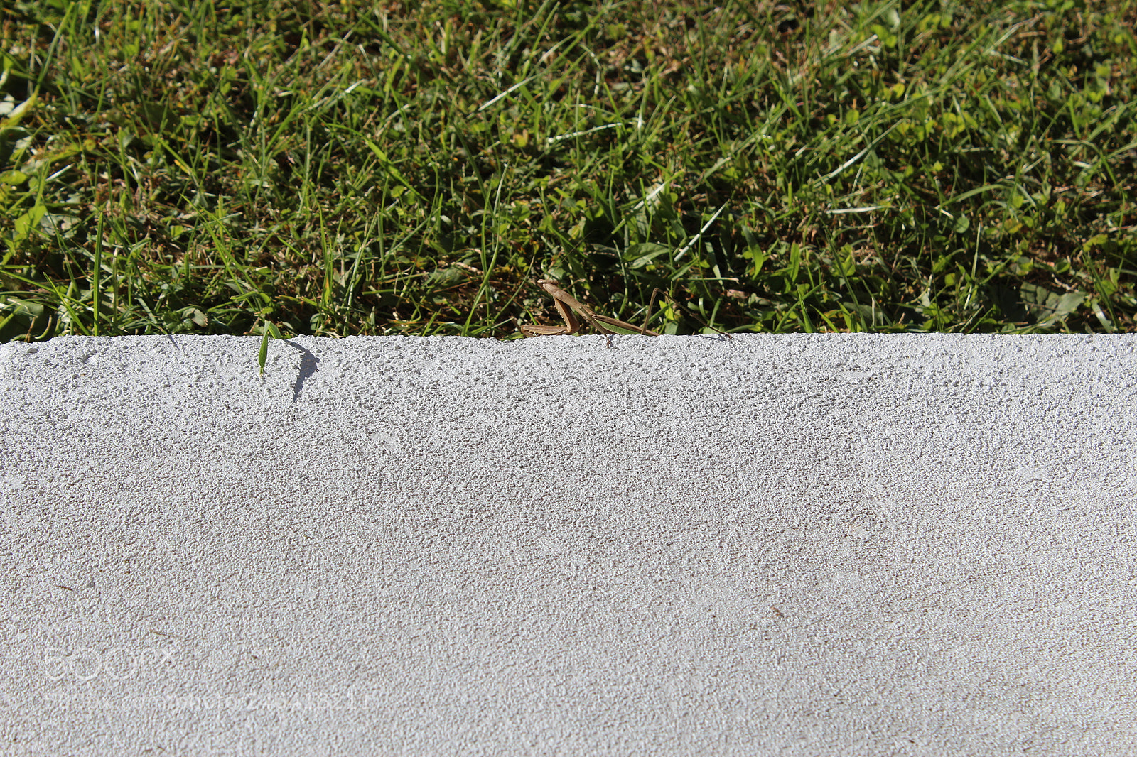 Canon EOS 1200D (EOS Rebel T5 / EOS Kiss X70 / EOS Hi) sample photo. Rondothakiid photography