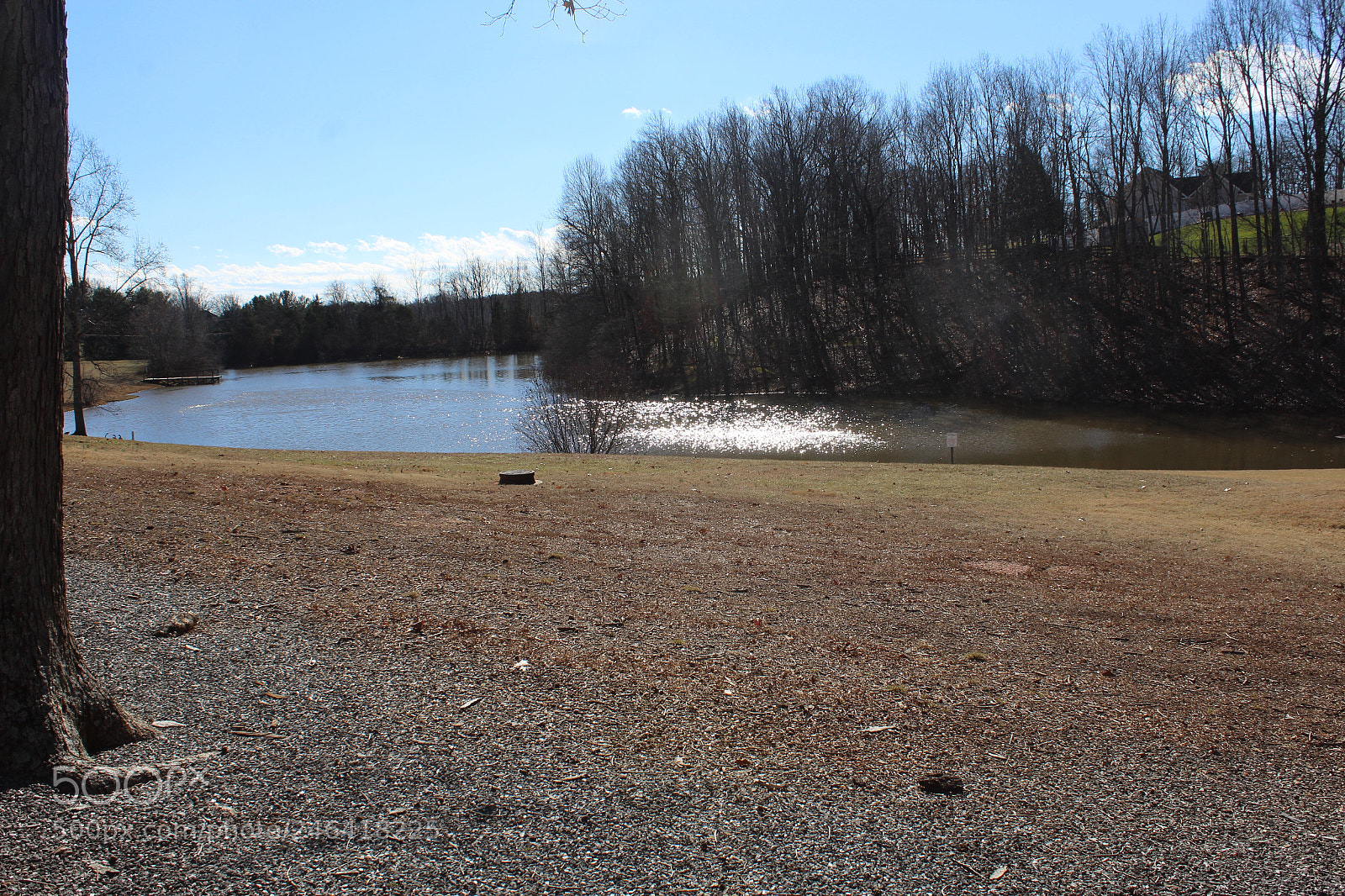 Canon EOS 1200D (EOS Rebel T5 / EOS Kiss X70 / EOS Hi) sample photo. Rondothakiid photography