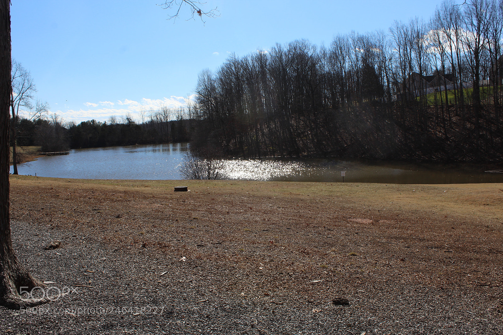 Canon EOS 1200D (EOS Rebel T5 / EOS Kiss X70 / EOS Hi) sample photo. Rondothakiid photography