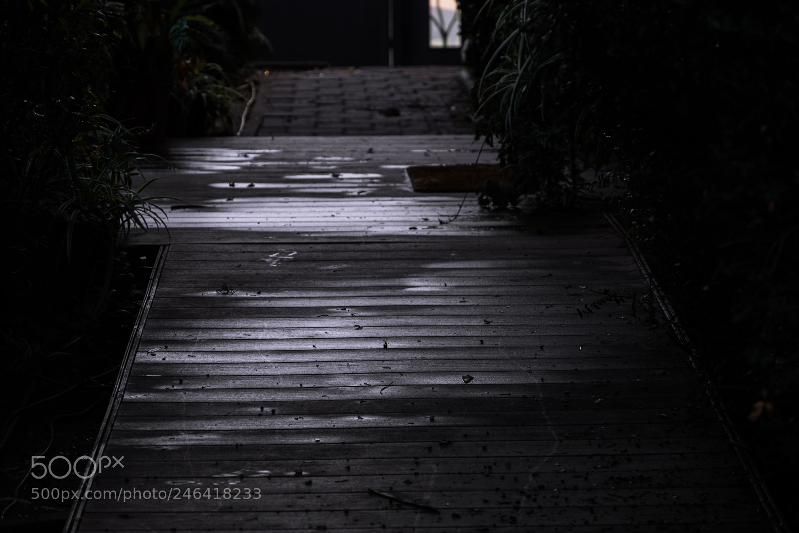 Fujifilm X-T2 sample photo. Darkness photography