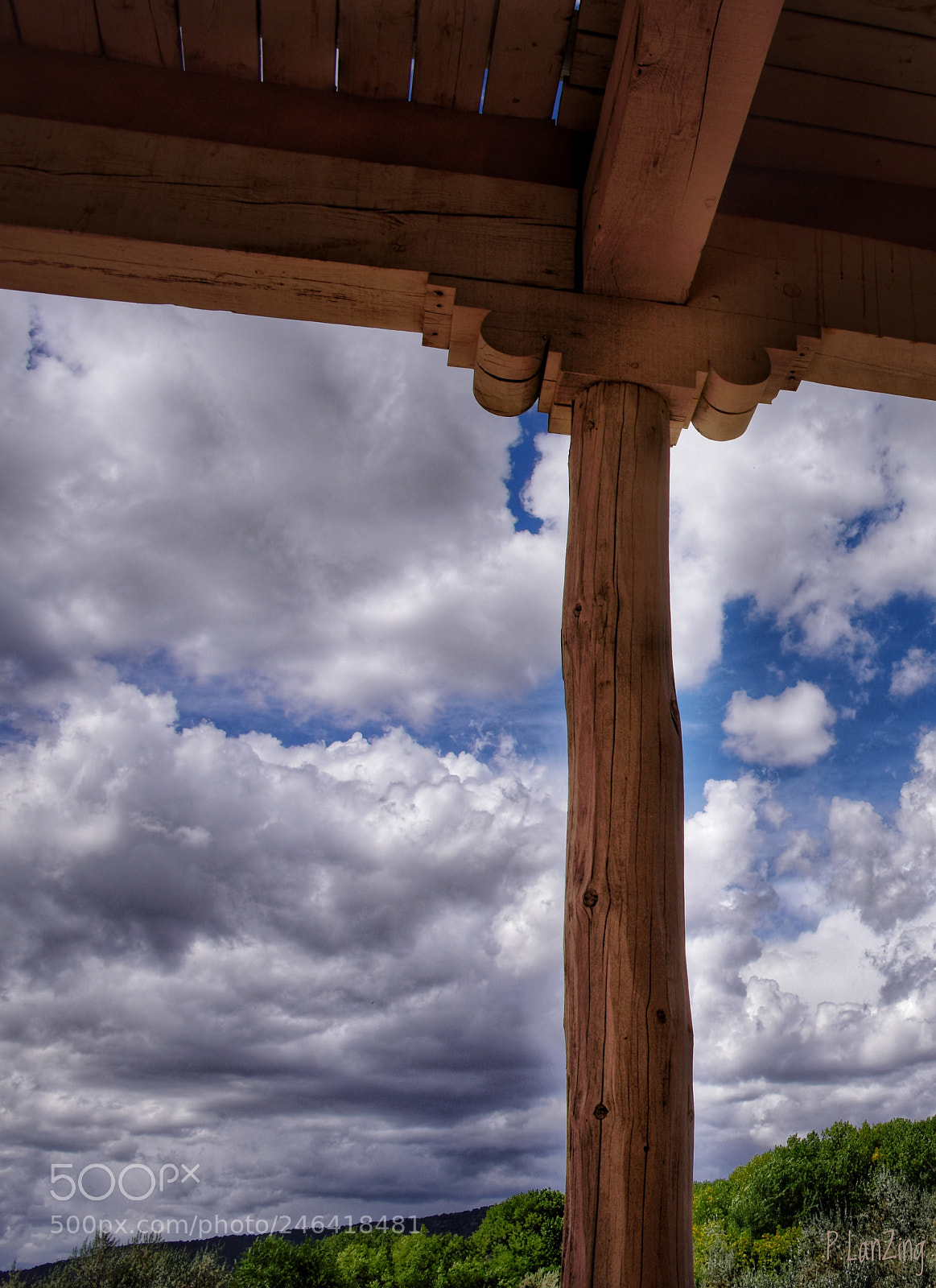 Nikon D810 sample photo. Daydreaming, new mexico photography