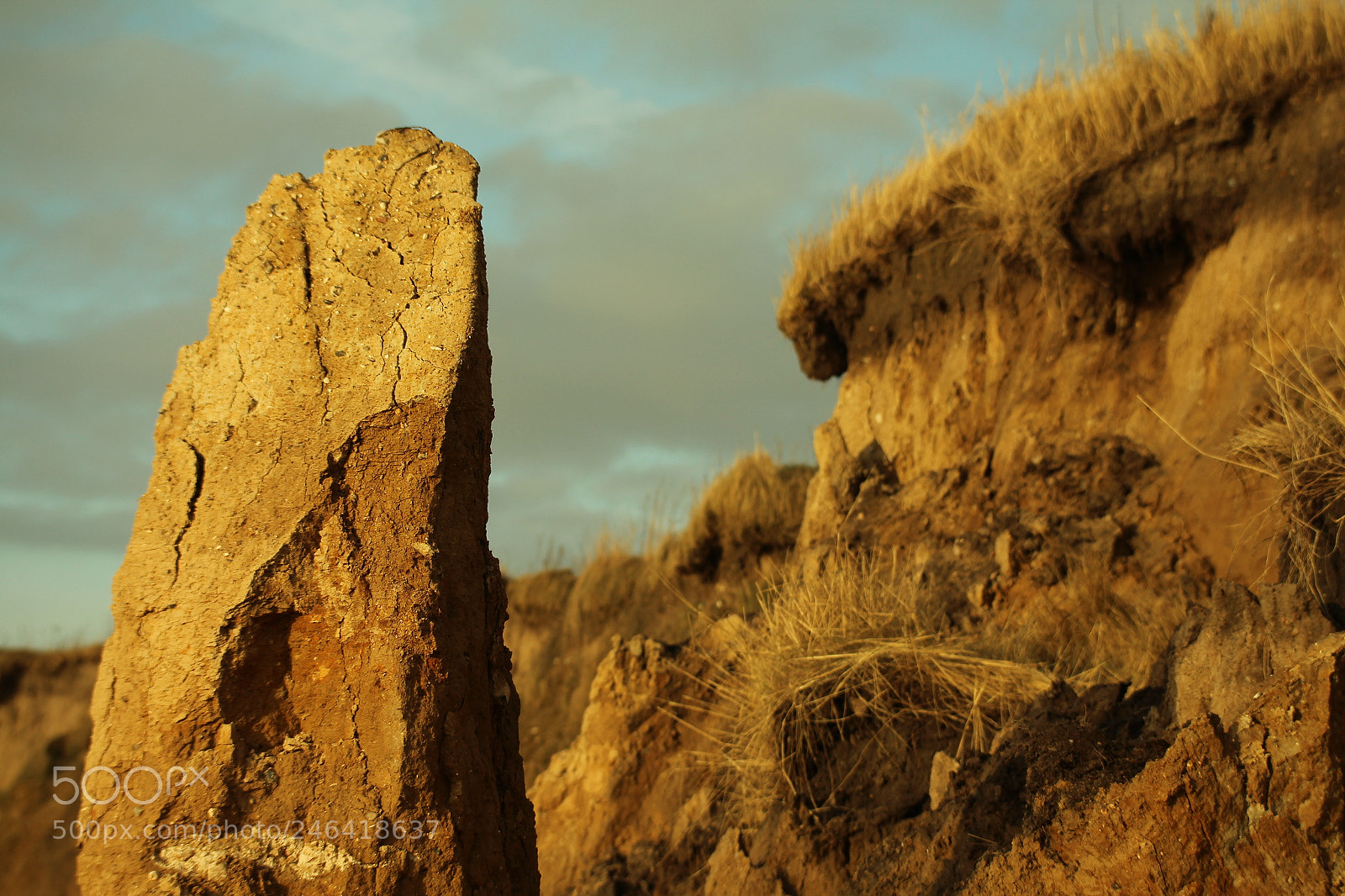 Canon EF-S 60mm F2.8 Macro USM sample photo. Erosive coast photography