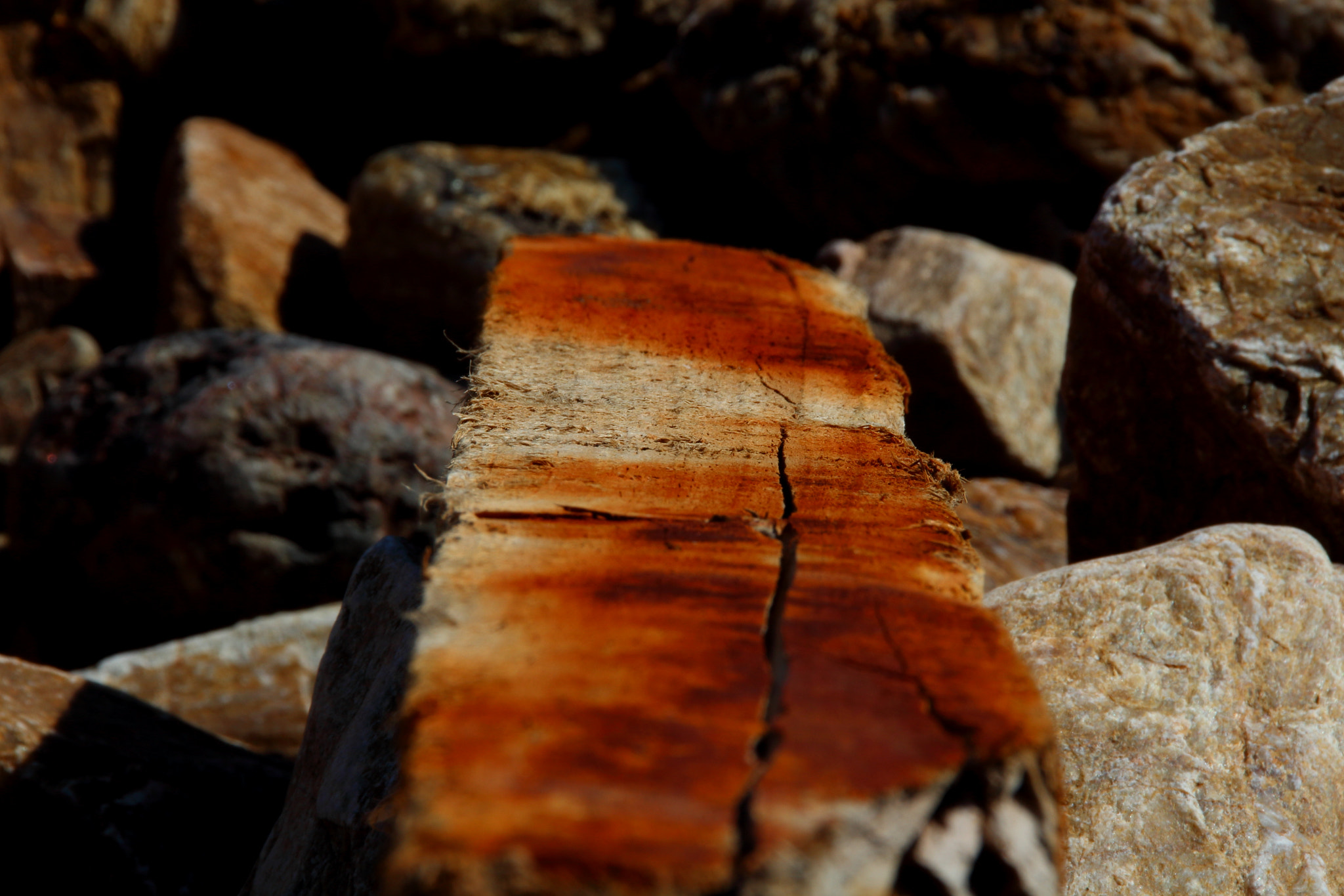 Canon EOS 650D (EOS Rebel T4i / EOS Kiss X6i) sample photo. Madera photography
