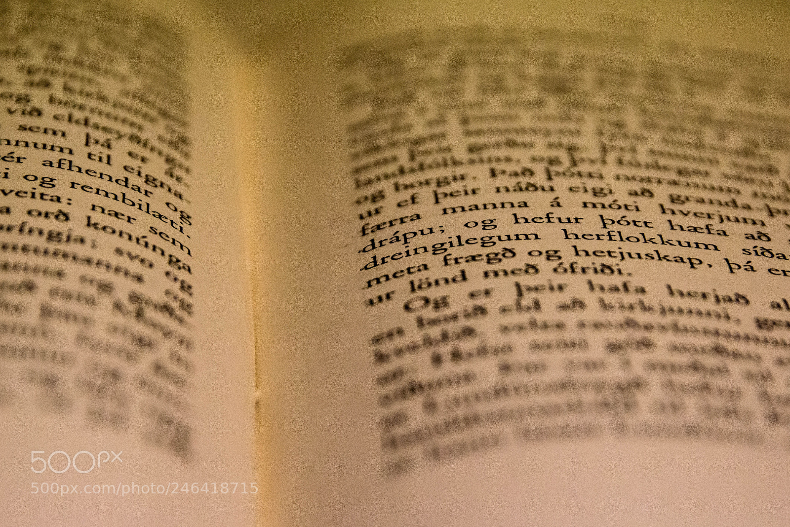 Canon EOS 700D (EOS Rebel T5i / EOS Kiss X7i) sample photo. Icelandic photography