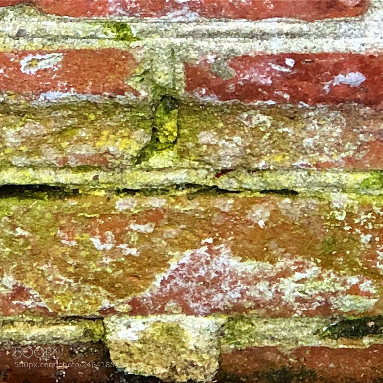Apple iPhone 8 Plus sample photo. Old mossy bricks photography