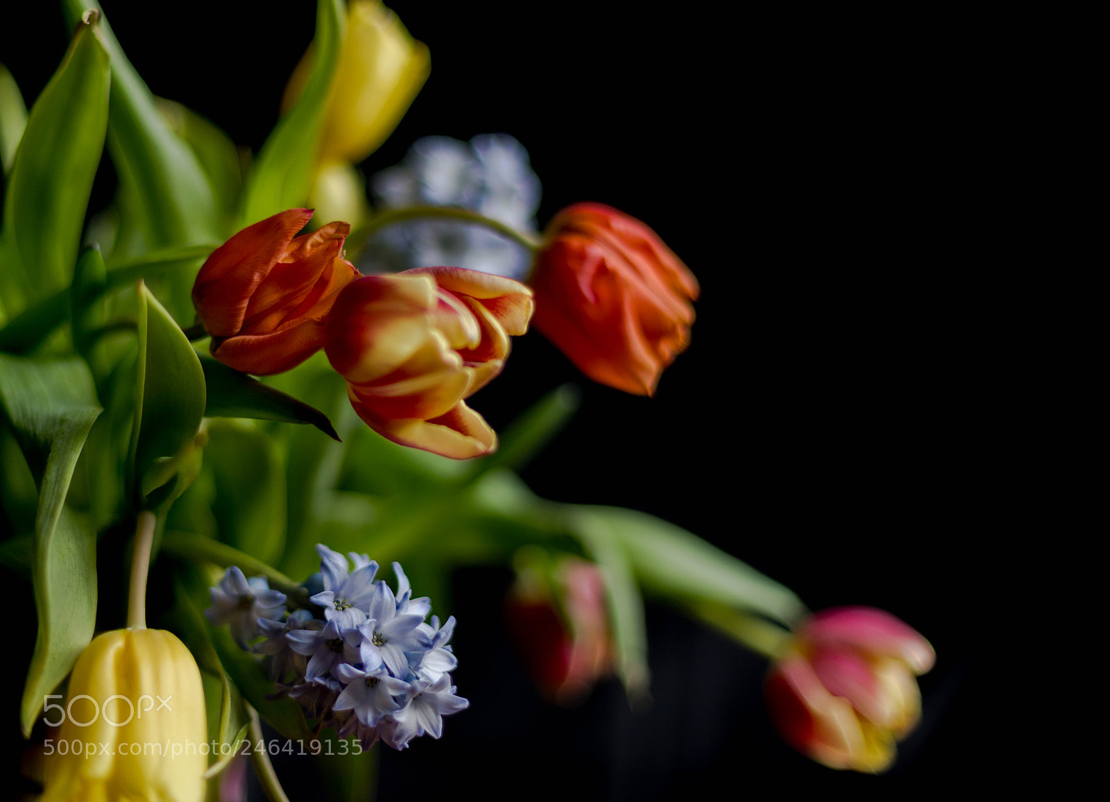 Canon EOS 6D Mark II sample photo. Untitled photography