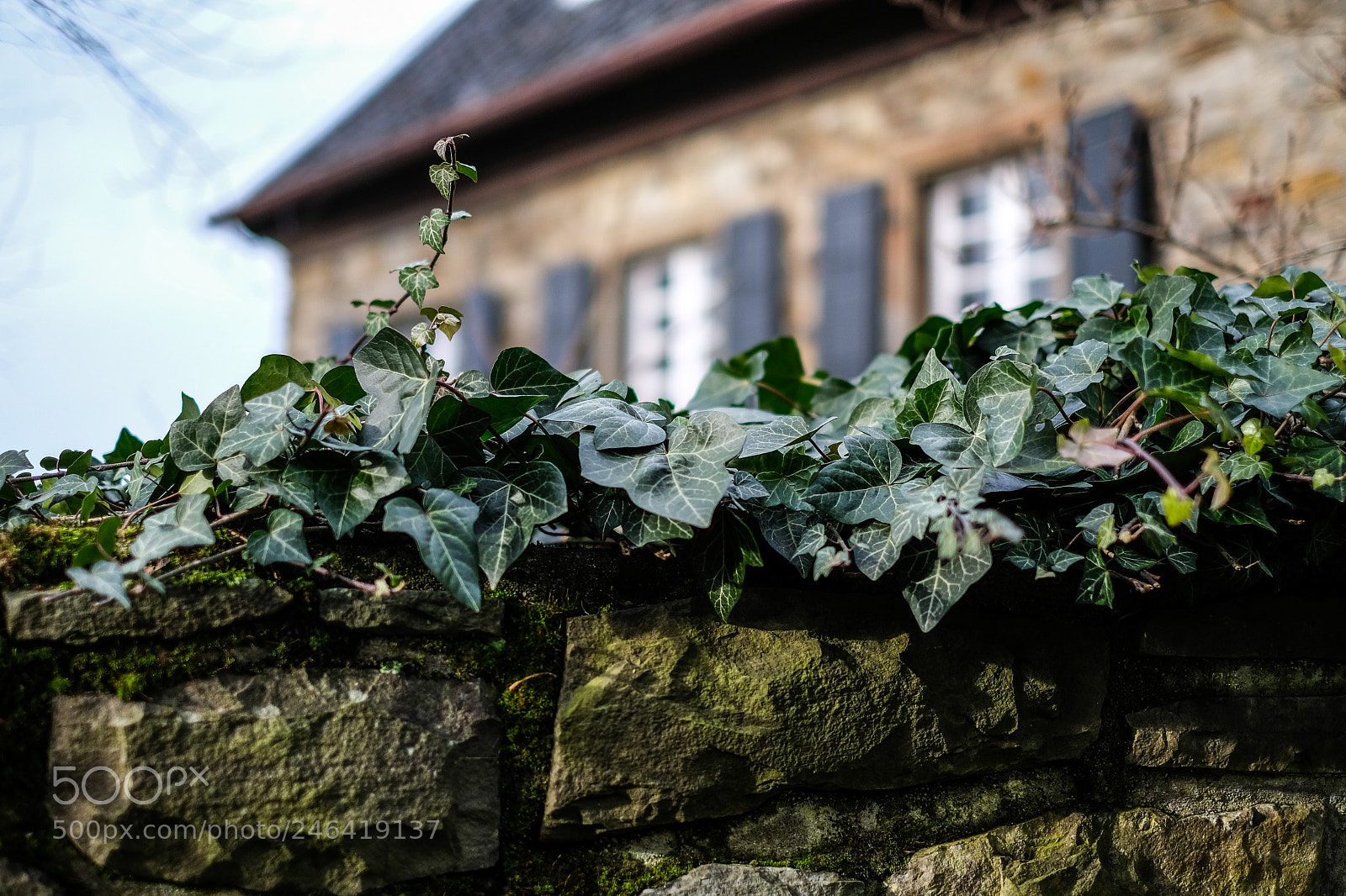 Fujifilm X-E3 sample photo. Taking over photography