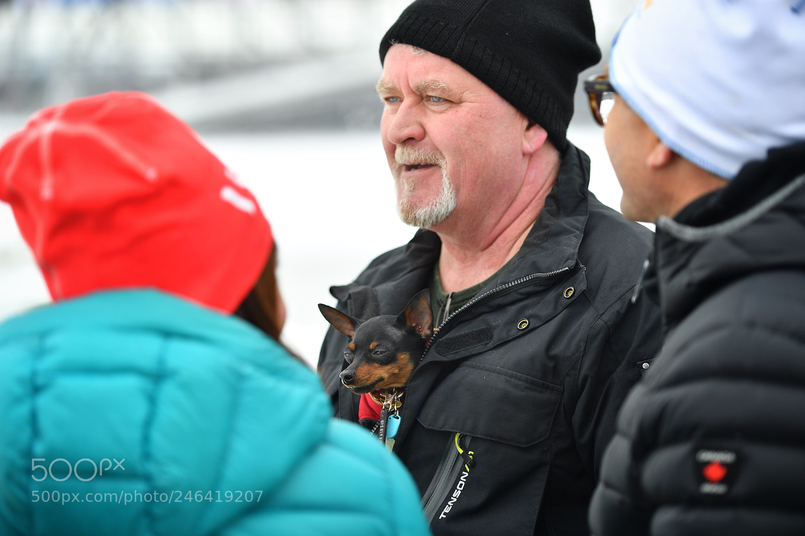 Nikon D5 sample photo. Pop-out dog photography