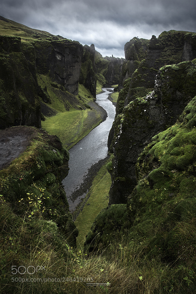 Nikon D810 sample photo. A sliver of hope photography