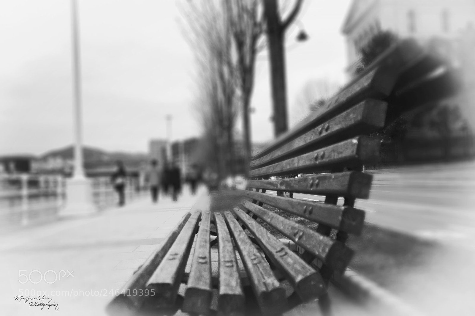 Nikon D300 sample photo. Still waiting for people photography