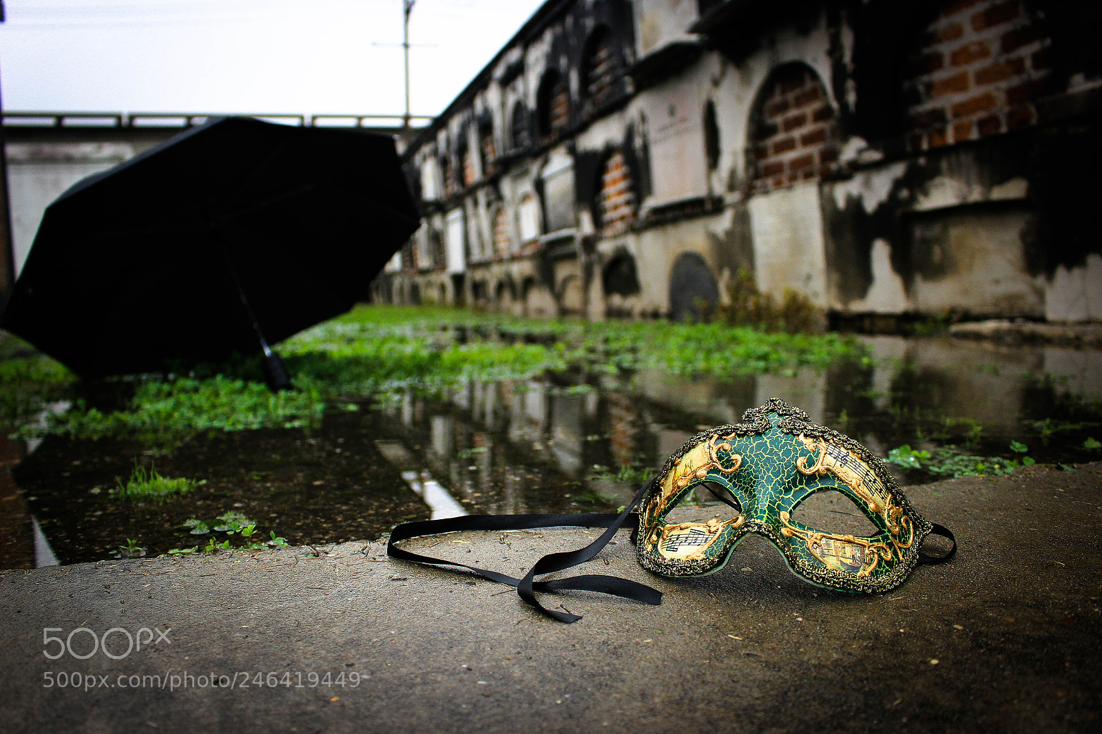 Canon EOS 100D (EOS Rebel SL1 / EOS Kiss X7) sample photo. Take off your mask photography