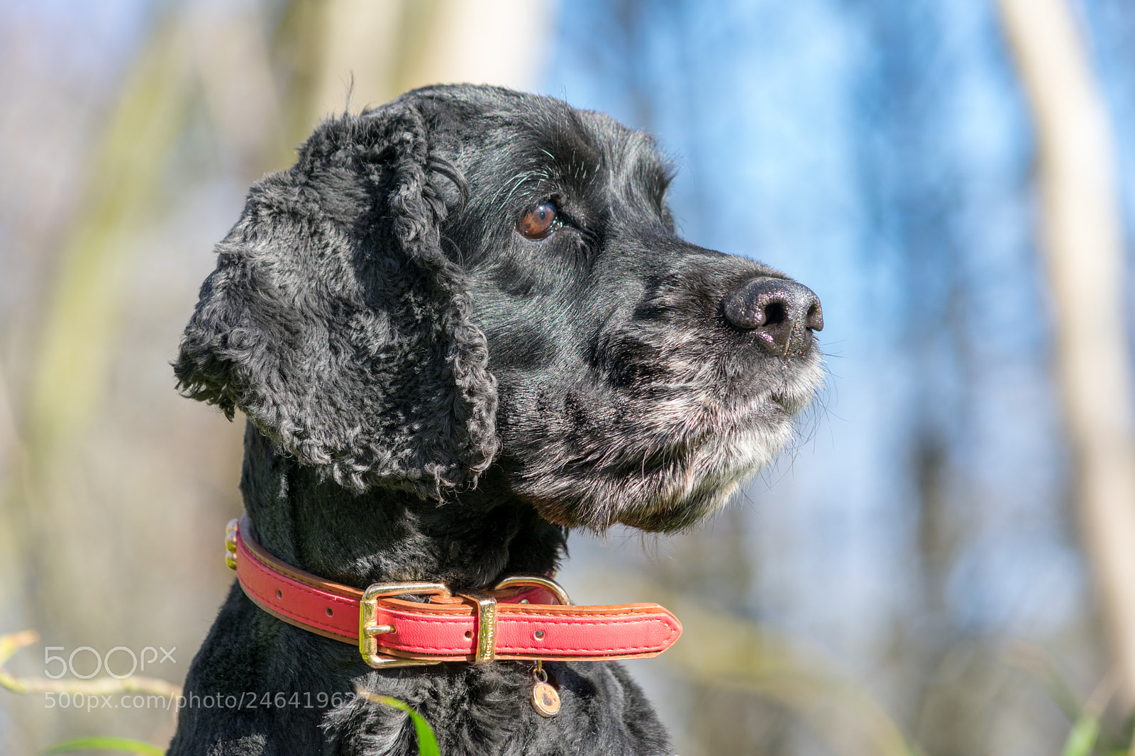 Nikon D3400 sample photo. Portret photography