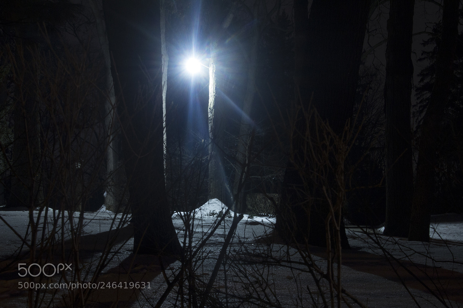 Canon EOS 1200D (EOS Rebel T5 / EOS Kiss X70 / EOS Hi) sample photo. Illuminated snow landscape. Освещенный пейзаж. photography