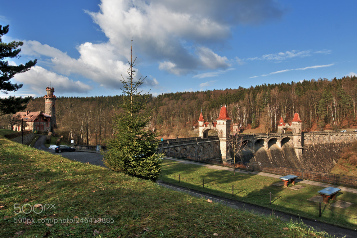 Nikon D300 sample photo. Les kr lovstv forest photography