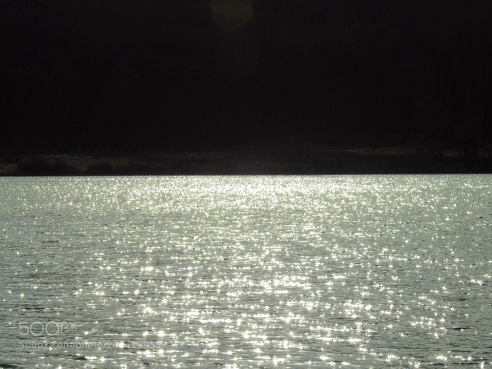 Nikon Coolpix P900 sample photo. Deer lake photography