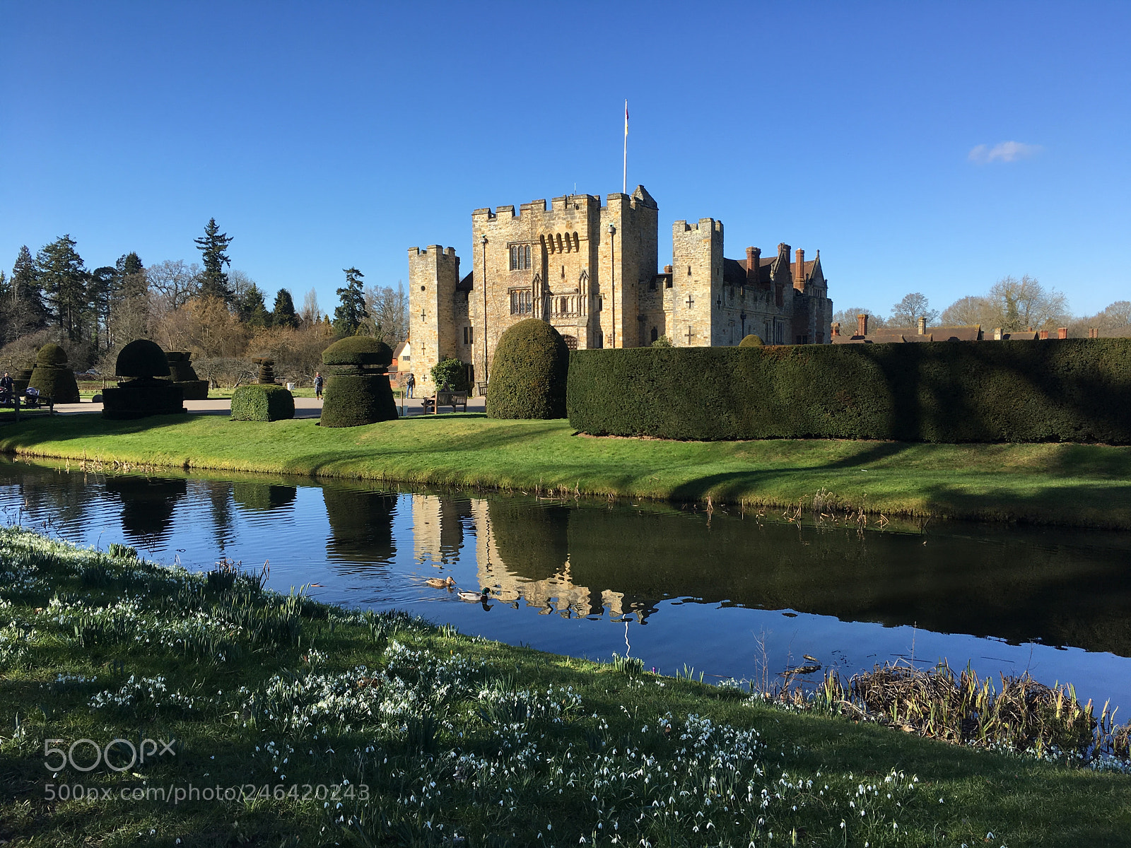 Apple iPhone SE sample photo. Snowdrop walk photography