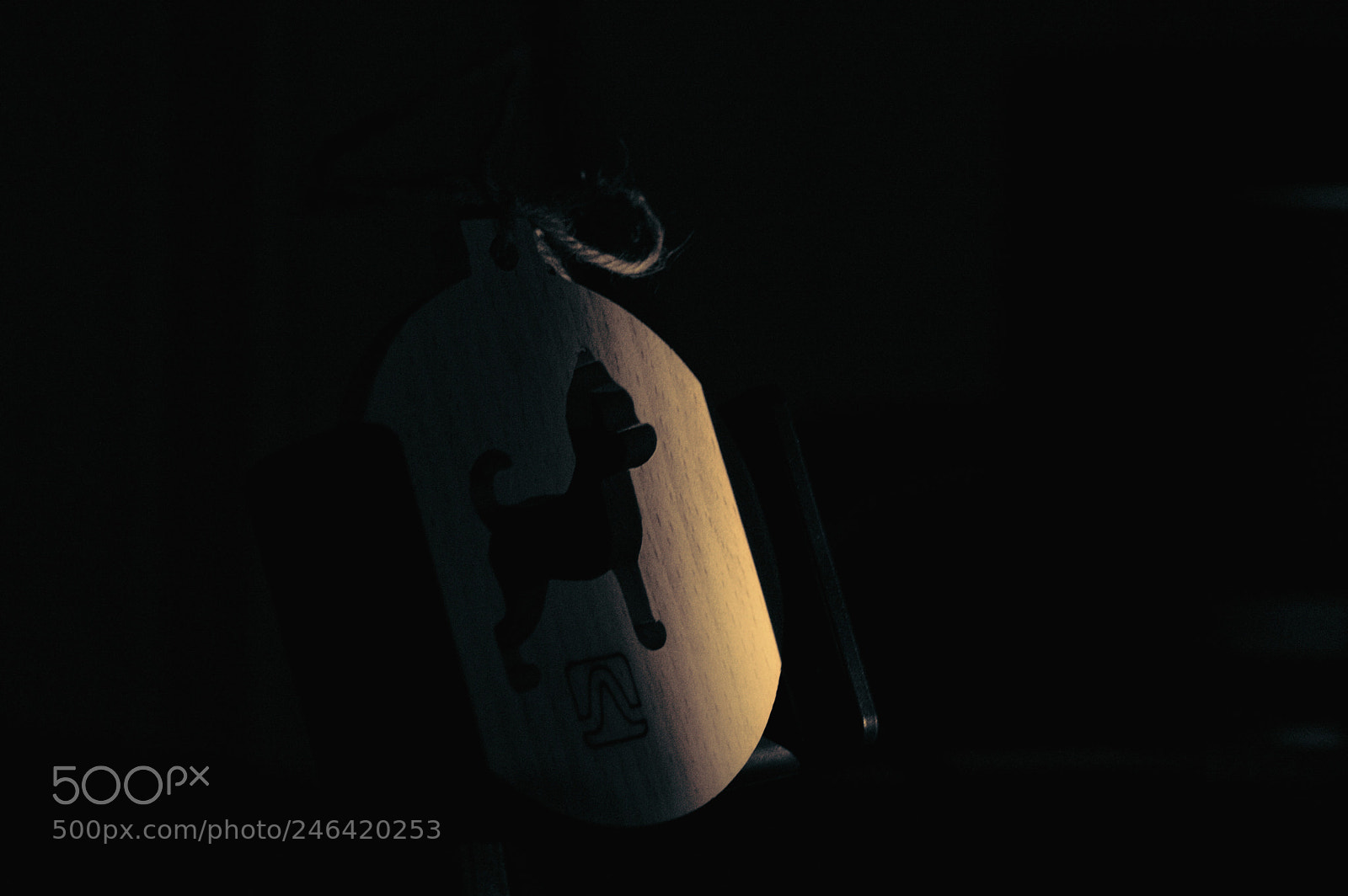Nikon D3200 sample photo. Dog значок photography
