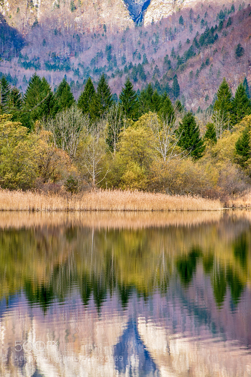 Nikon D610 sample photo. Bohinj lake in triglav photography
