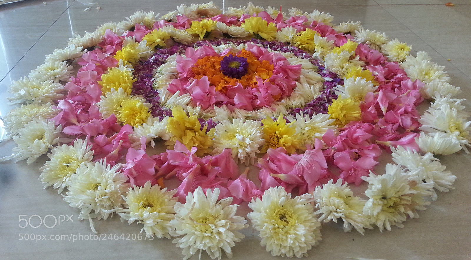 Samsung Galaxy S3 sample photo. Untitled photography