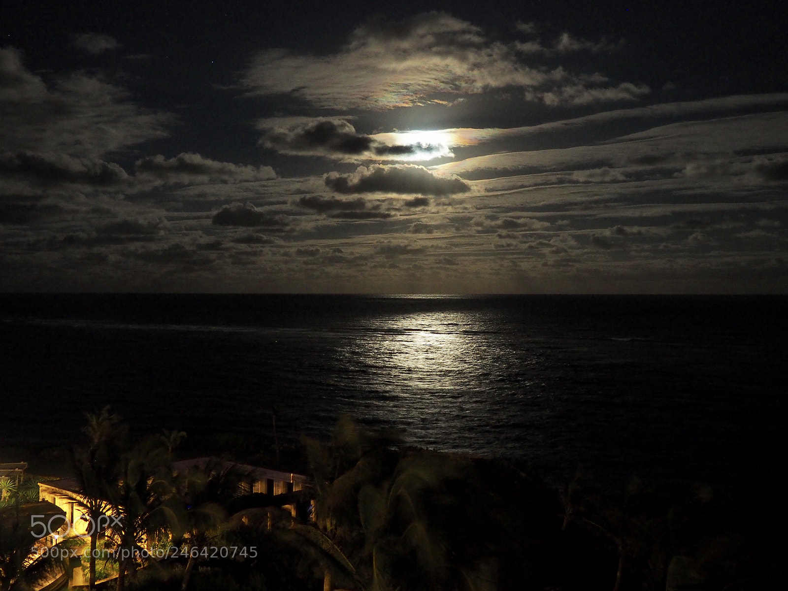 Olympus OM-D E-M10 II sample photo. Another moonlight photography