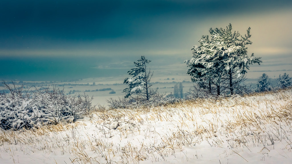 Winter at Ogosta Reservoir 2 by Milen Mladenov on 500px.com