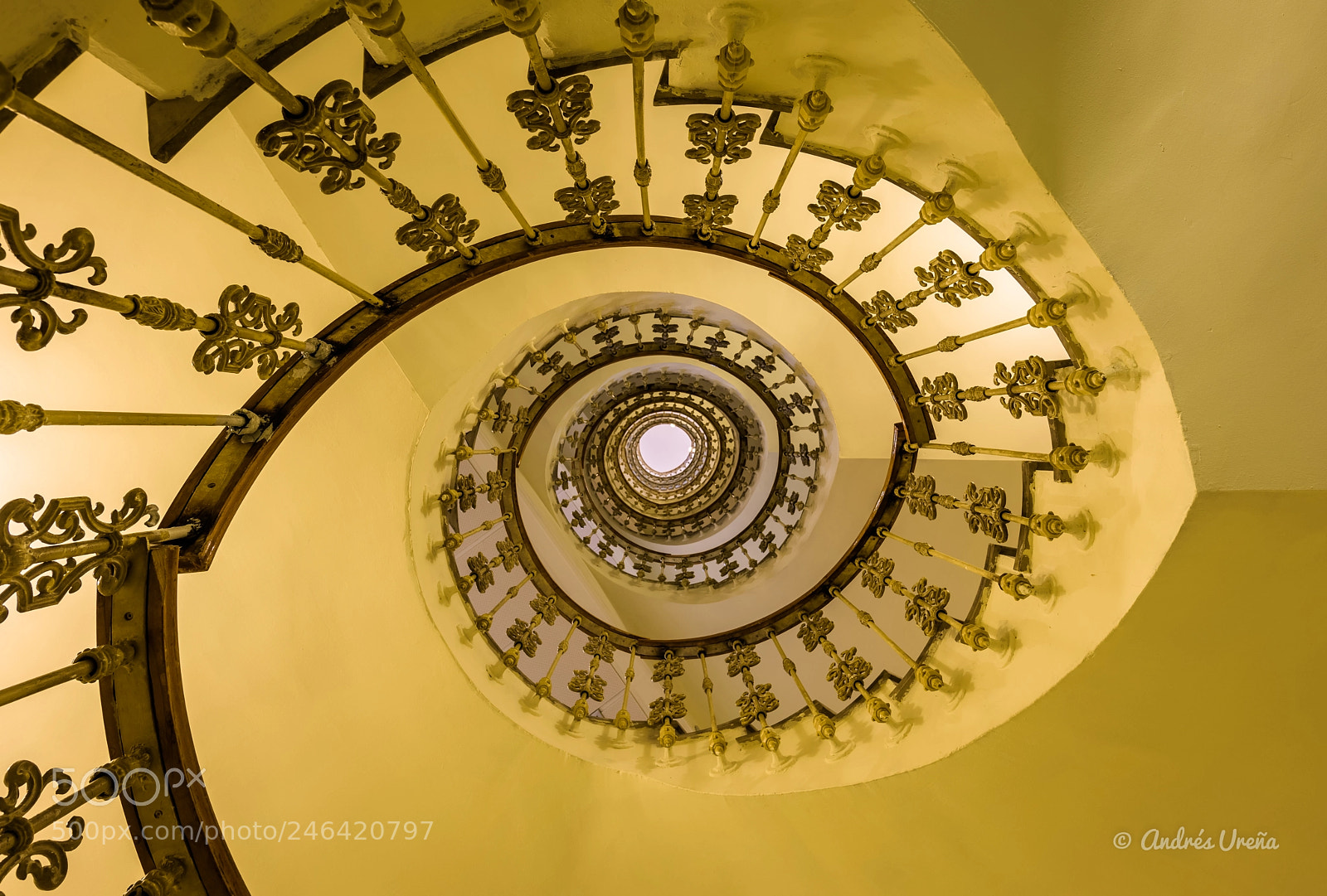 Nikon D810 sample photo. The golden ratio photography