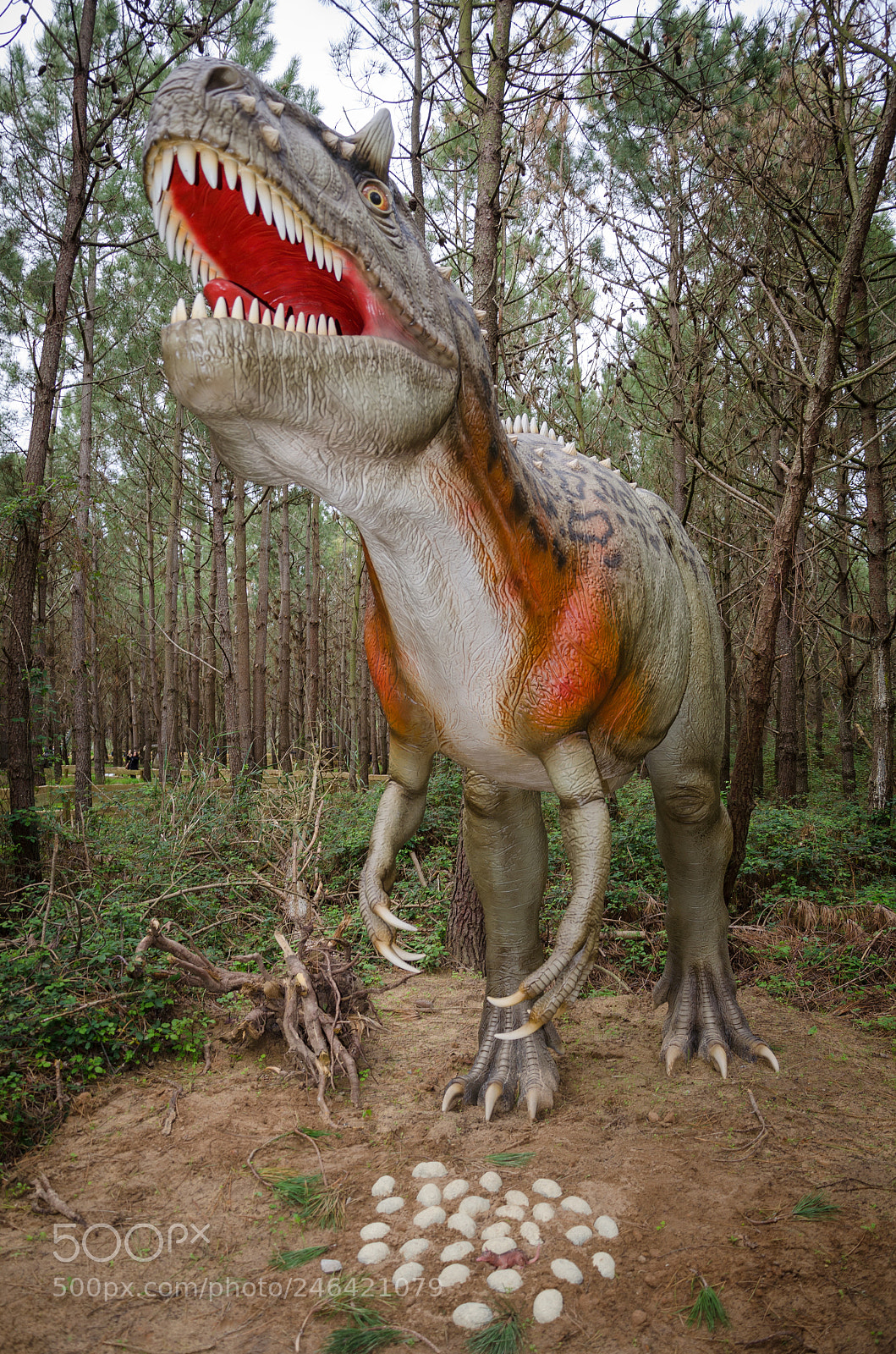 Nikon D5100 sample photo. Dino photography