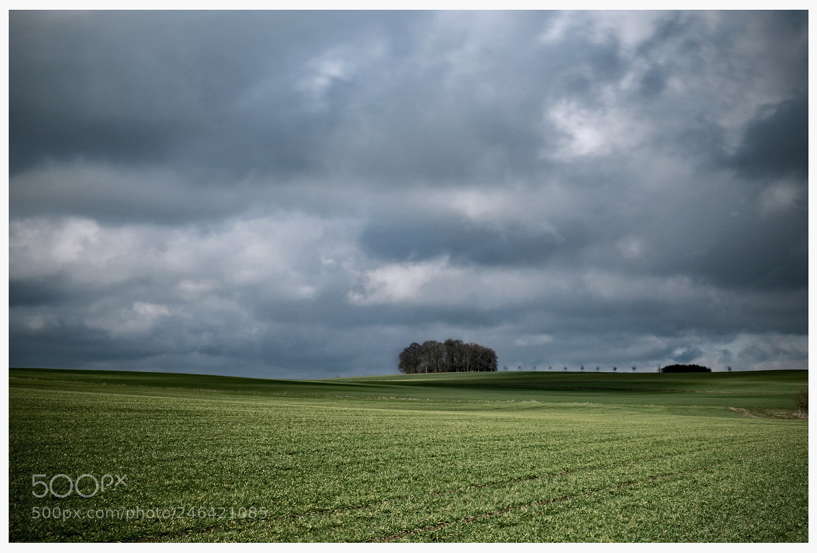 Fujifilm X-T1 sample photo. De natura deorum v photography