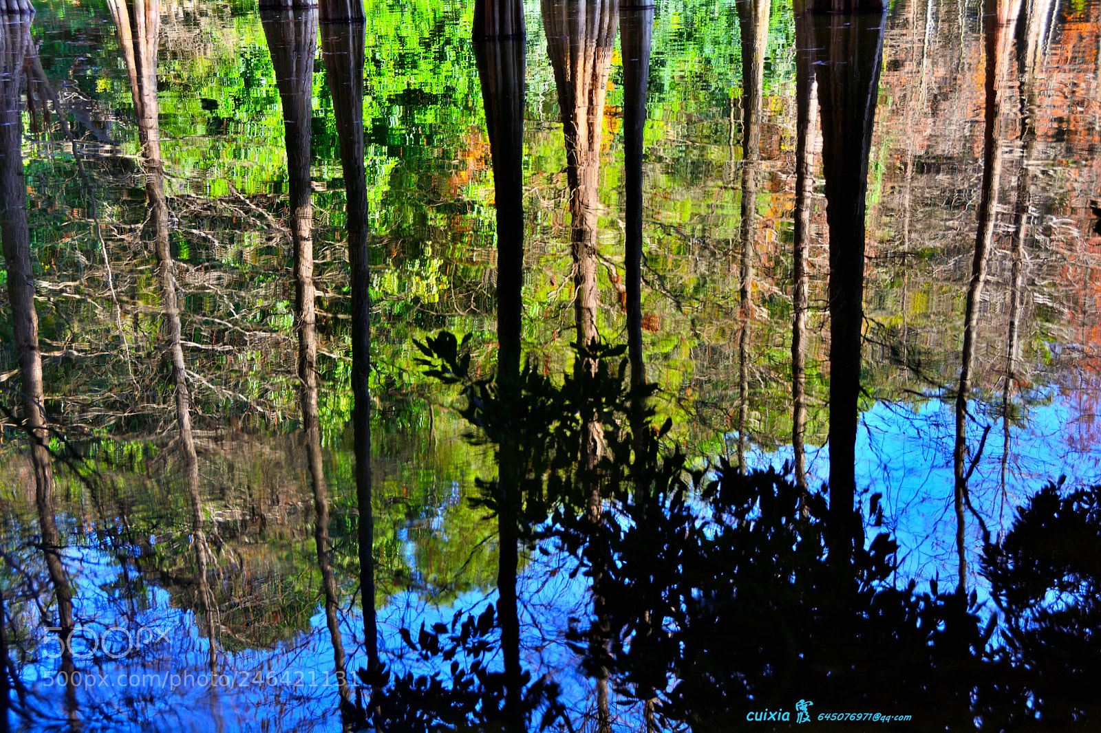 Nikon D5200 sample photo. The reflection of the photography