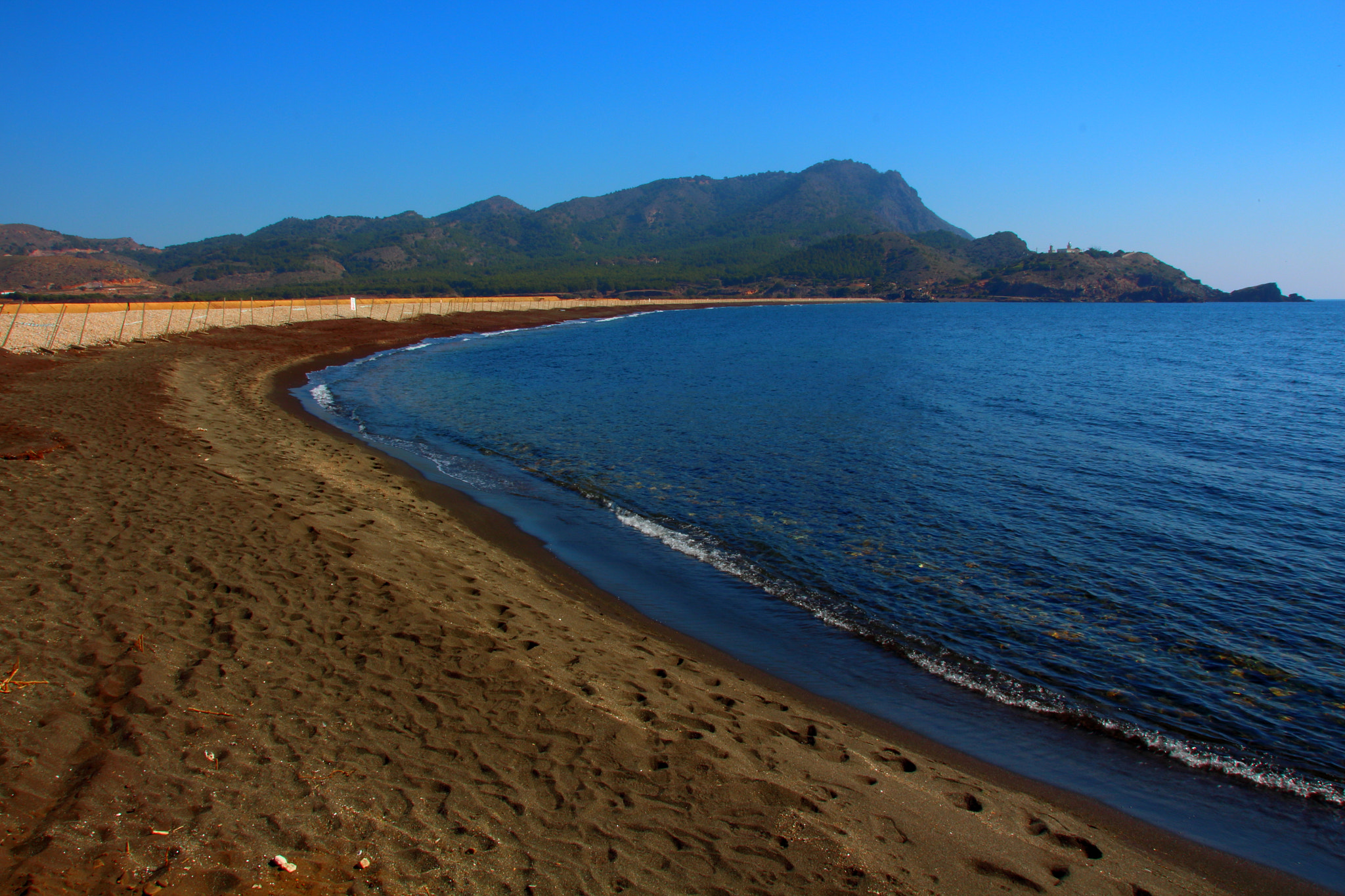 Canon EOS 650D (EOS Rebel T4i / EOS Kiss X6i) sample photo. Portman photography