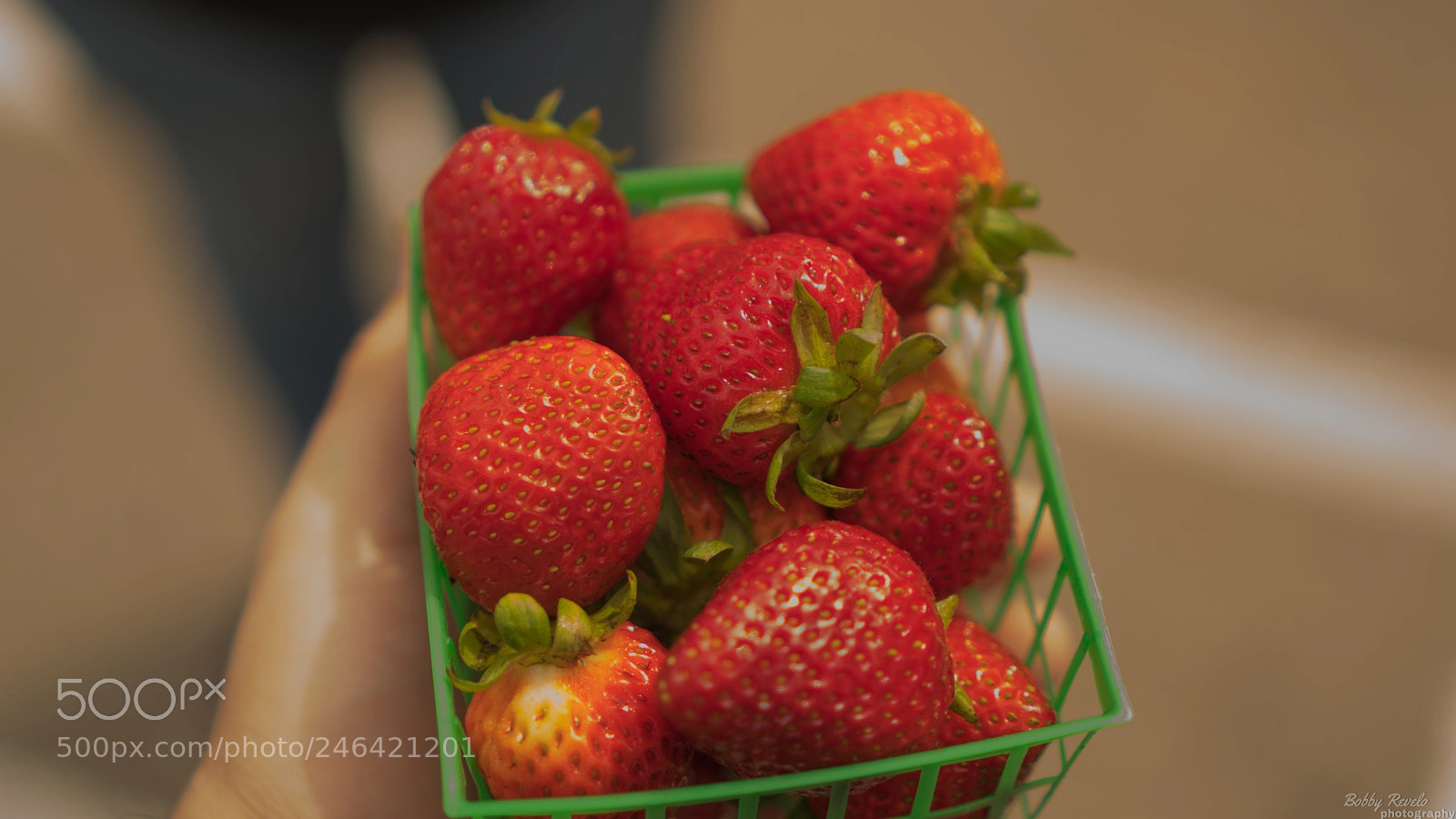 Sony a6300 sample photo. Untitled photography