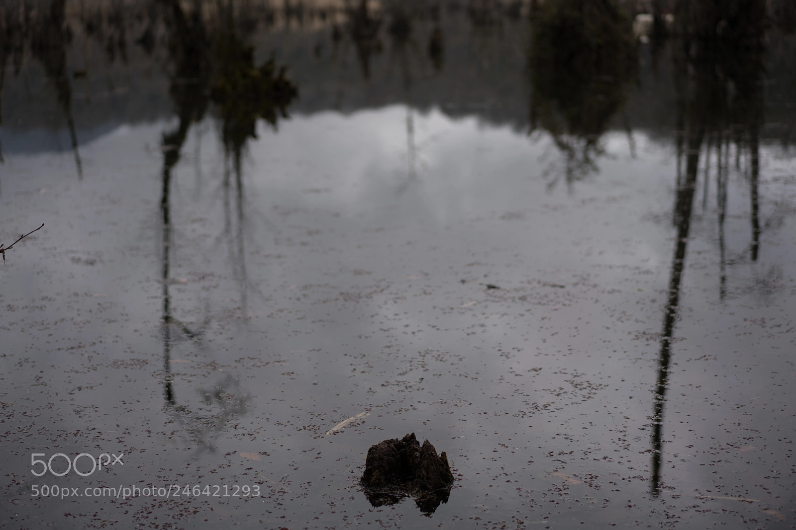 Sony a7R II sample photo. Ghostlake photography