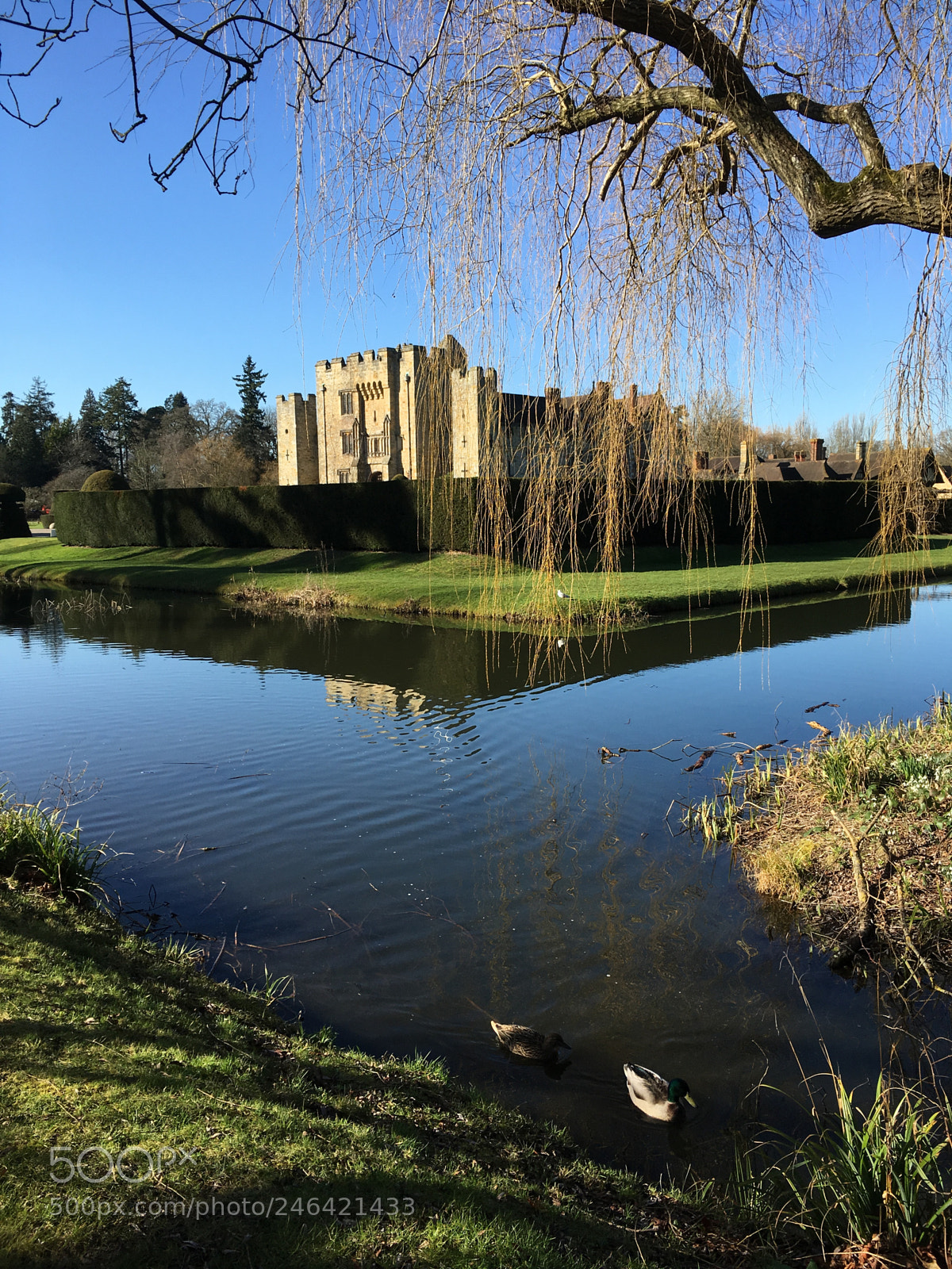 Apple iPhone SE sample photo. Moat view photography