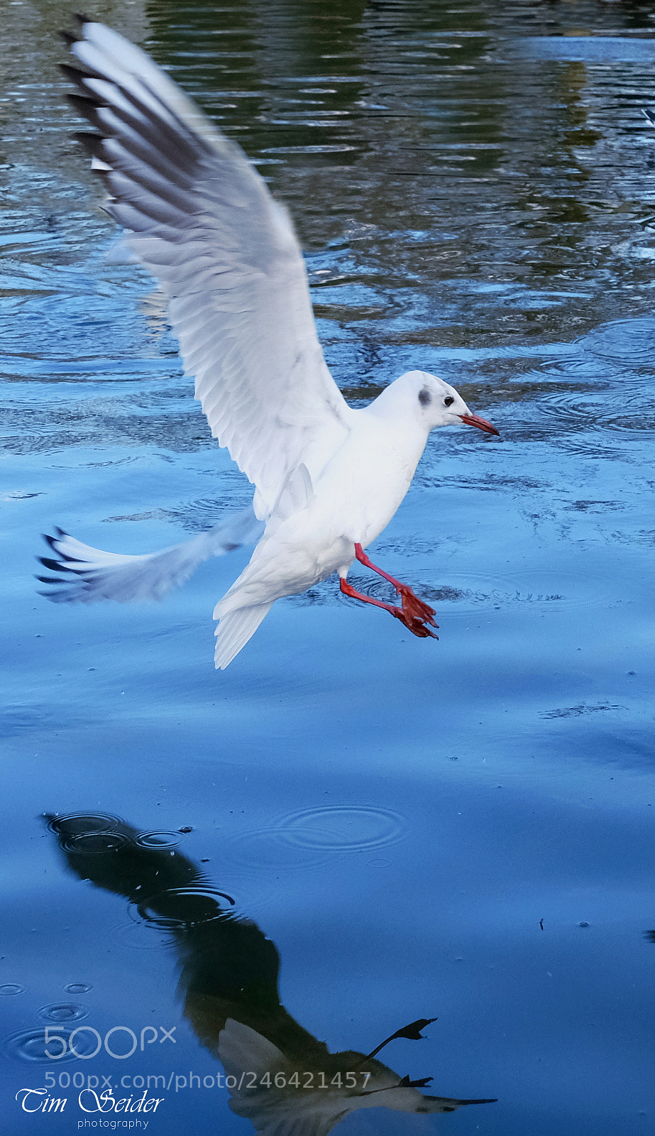 Fujifilm X-T20 sample photo. On approach photography