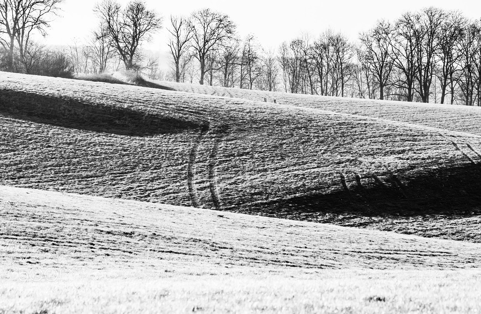 Nikon D7200 sample photo. Lines and shadows photography