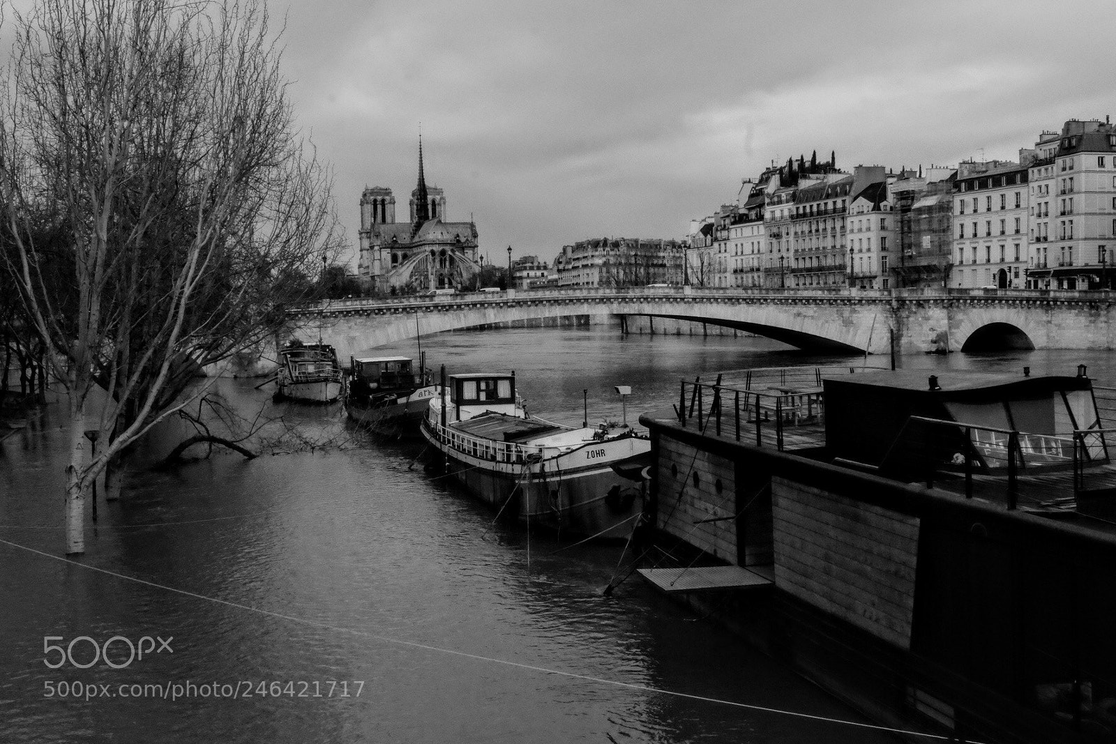 Fujifilm X-T10 sample photo. View over la seine photography